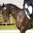 Clasificación del FEI Campeonato de Europa de Salto