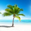 ¿Cuántos países baña el Mar Caribe?