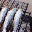 Producción de peces por acuicultura en Argentina