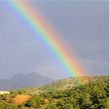 Sueños: ¿a color o en blanco y negro?