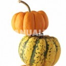 Dulce de Halloween: pastel de calabaza