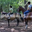 Iniciación: ejercicios de volteo en equitación