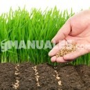 Invernaderos ecológicos: Comer sano fuera de temporada