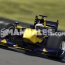 Piloto de Fórmula 1: Mark Webber