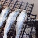Producción de peces por acuicultura en Argentina
