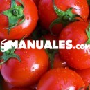 Receta de bocados caprese