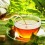 Ver manual de ¿Cómo preparar un té perfecto?