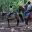 Ver manual de Iniciación: ejercicios de volteo en equitación
