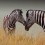 Ver manual de ¿Qué es una especie invasora?