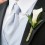 Ver manual de Trucos para elegir una corbata fina y elegante